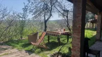 Authentic & stylish Bungalow and Artists residence in Kakheti, 2 km from Signagi のホテル