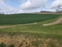 Cosy cottage in the heart of nature with swimming pool