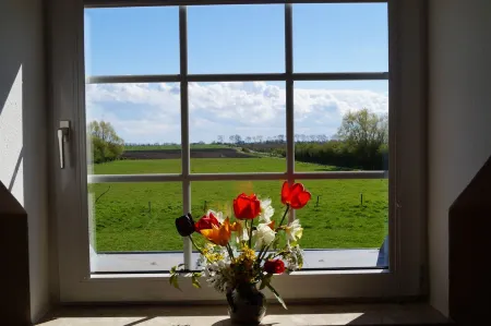 House at the paddock