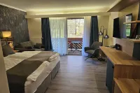 Waldhotel Kurfürst Hotels in Mayen