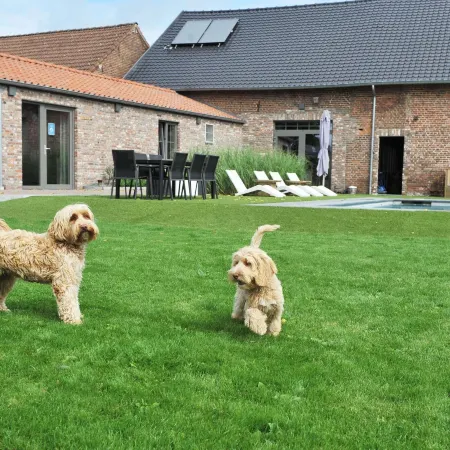 Vlaanderen Cozy Cottage