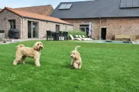 Vlaanderen Cozy Cottage