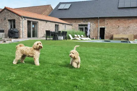 Vlaanderen Cozy Cottage Отели в г. Маасмехелен