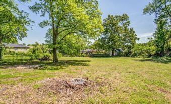 Schoolfield Collective