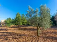 Can Antich - Villa With Private Pool In Lloseta