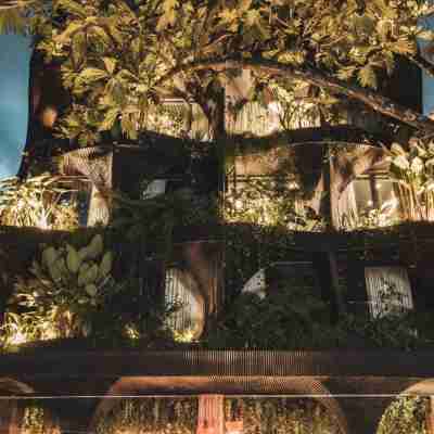 塞爾瓦里奧36號飯店 Hotel Exterior