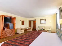 ホテル フランシア アグアスカリエンテス アグアスカリエンテスのホテル