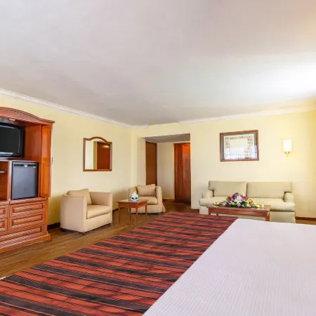Hotel Francia Aguascalientes