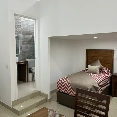 La casa de las palmeras
