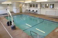 Holiday Inn Express & Suites CHENEY by IHG - Swimmingpools