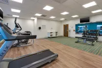 Holiday Inn Express & Suites CEDAR SPRINGS - GRAND RAPIDS N by IHG - gimnasio