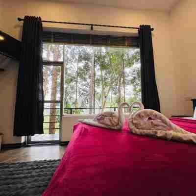 Pineapple Hills Ella Rooms