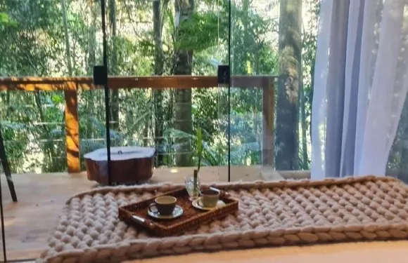樹屋