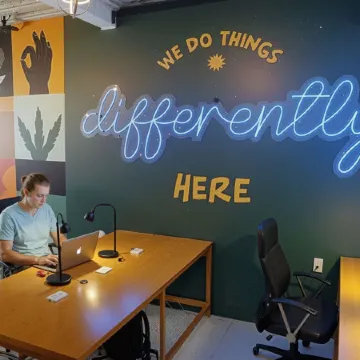 Mayan Monkey Los Cabos - Social Hotel