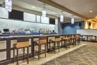 米德蘭廣場希爾頓逸林酒店 - 酒吧