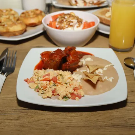 Ibis Culiacan