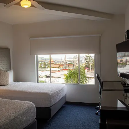 Hotel Nelson