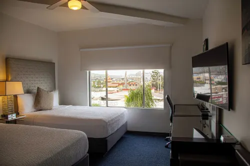 Hotel Nelson