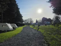 Lighthouse Lodge - Dog Friendly Nr Sutton on Sea - Chalets