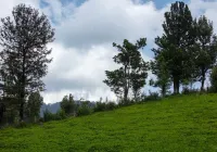 Magnolia by Nature Resorts & Stays - Villas
