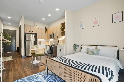 12min Downtown   6min Domain   Pool   Free Parking - Lejligheder