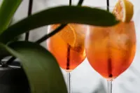 Hotel Port 7- Boutique Collection - bar