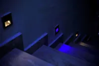 Luxurious Lukes Apartment - Homestays