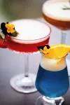 Falls Hotel & Spa - Bares