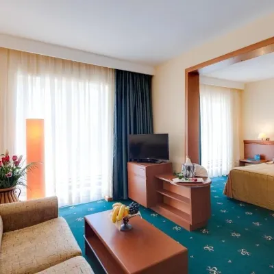 Hotel Palas Hotels near Expoflora Botanical Garden
