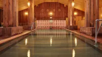 Shintamagawa Onsen - balneario