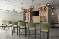 Hilton Garden Inn Chesapeake/Suffolk - bar