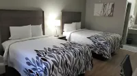 Red Roof Inn Cullman - Pet friendly
