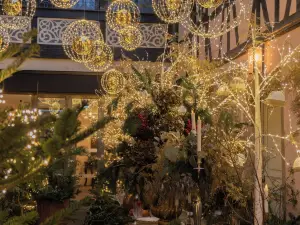 Cour du Corbeau Hotel Strasbourg - MGallery Collection