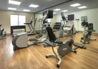 Holiday Inn Express & Suites OLIVE BRANCH by IHG - Gym
