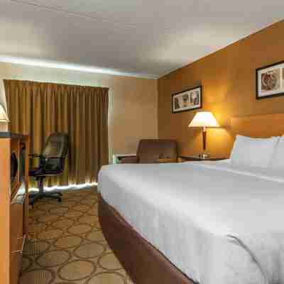 Comfort Inn Laval Rooms