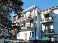 Cipressi