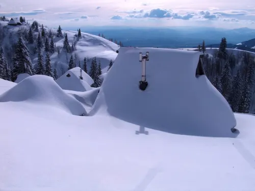 To Fall in Love - Chalet Zlatica - Velika Planina