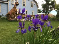 Heartwood Inn Hotels in Drumheller