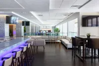 Hilton Clearwater Beach Resort & Spa - bar