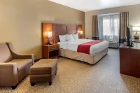 The Atrium Hotel - SFO Airport Free! - Shuttle Bus - Parking - Wifi Hotels in San Bruno