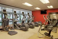Hilton McLean Tysons Corner - Kuntosalit