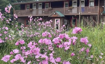 Mountain View Motel & Campground