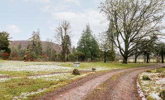 a dirt road with a few cars parked on the side and a small water fountain in the middle at Merlin