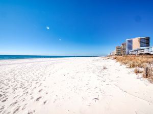 Updated Beach Front Condo in OB-Seachase-803W