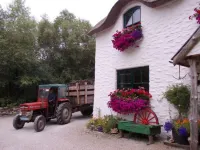 Lissyclearig Thatch Cottage Hotels in Kenmare