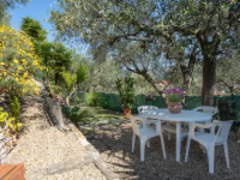 Villa Paradiso (Dol191)