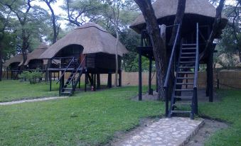 The Tree Lodge at Sikumi