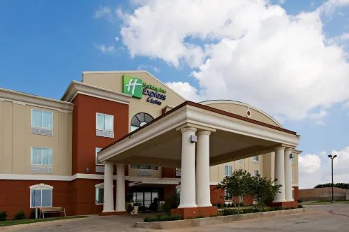 Holiday Inn Express & Suites SNYDER by IHG - Træningscentre