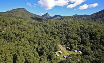 Mt Warning Rainforest Park