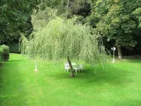 Logis Deshors-Foujanet Hotels in Meyrignac-l'Église